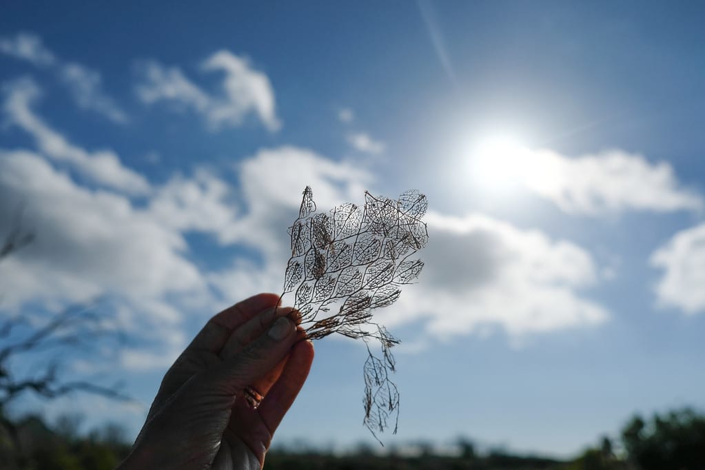Visiting Cerro Dragón (Dragon Hill) throughout the Galápagos