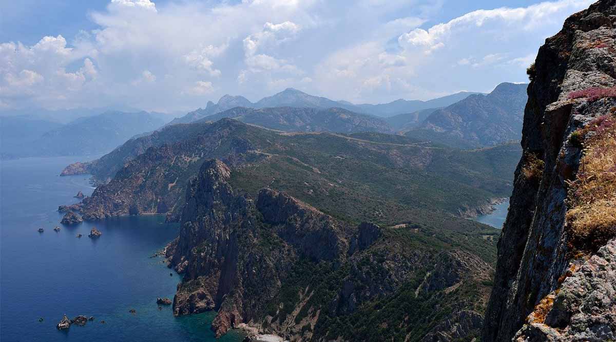 Do you get a refund in your journey safety within the occasion you die?