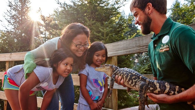 9 summer season places from San Diego to Orlando