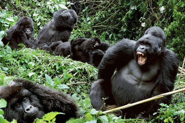 World-wide-web portal launched to market regional tourism