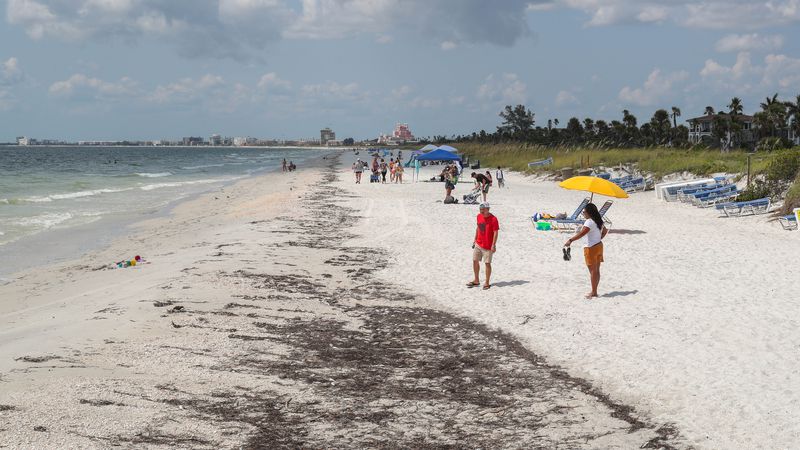 Is Purple Tide hurting Tampa Bay tourism?